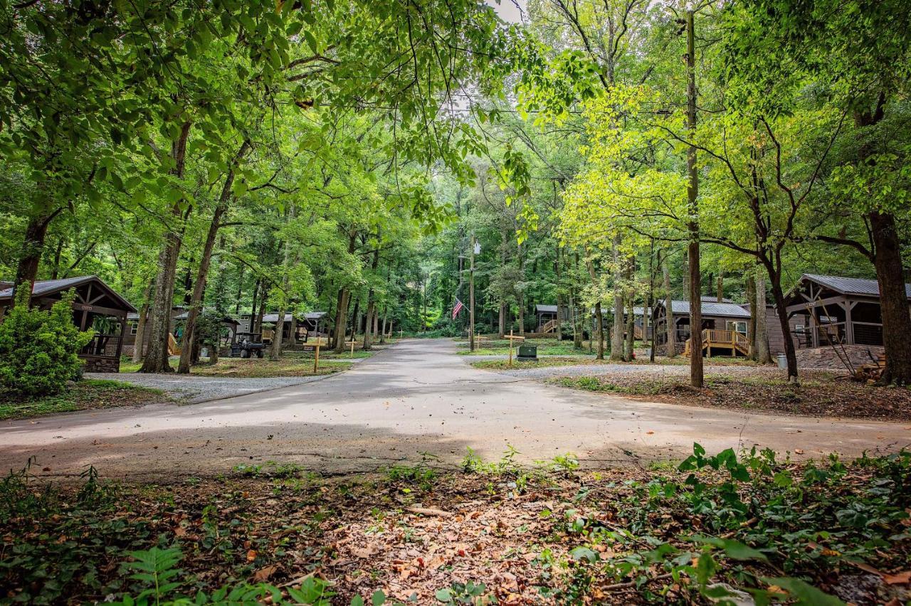 Celina Cabin Nature Cabin Near Downtown Chattanooga Buitenkant foto